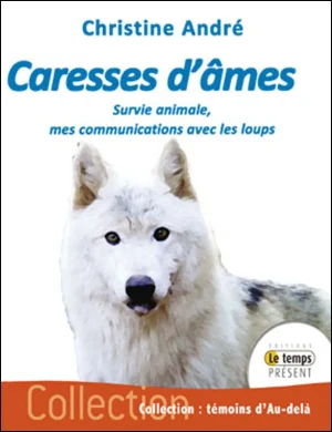 Couverture du livre « Caresses d’âmes », JMG Éditions