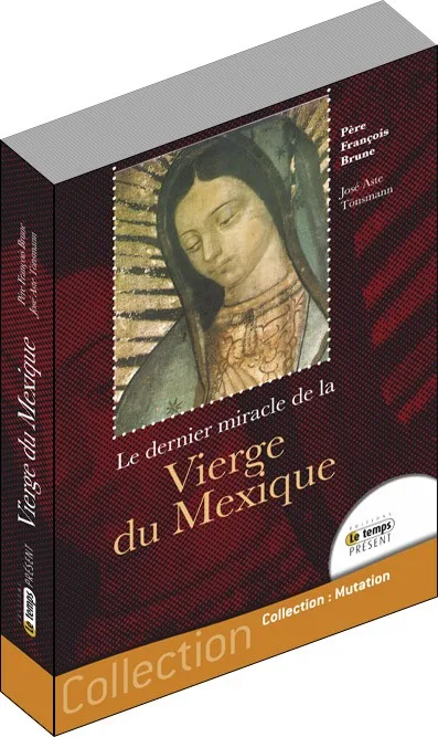 Illustration intérieure du livre « Le dernier miracle de la Vierge du Mexique », JMG Éditions