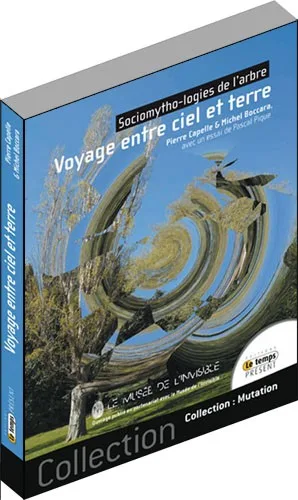 Illustration intérieure du livre « Voyage entre ciel et terre », JMG Éditions