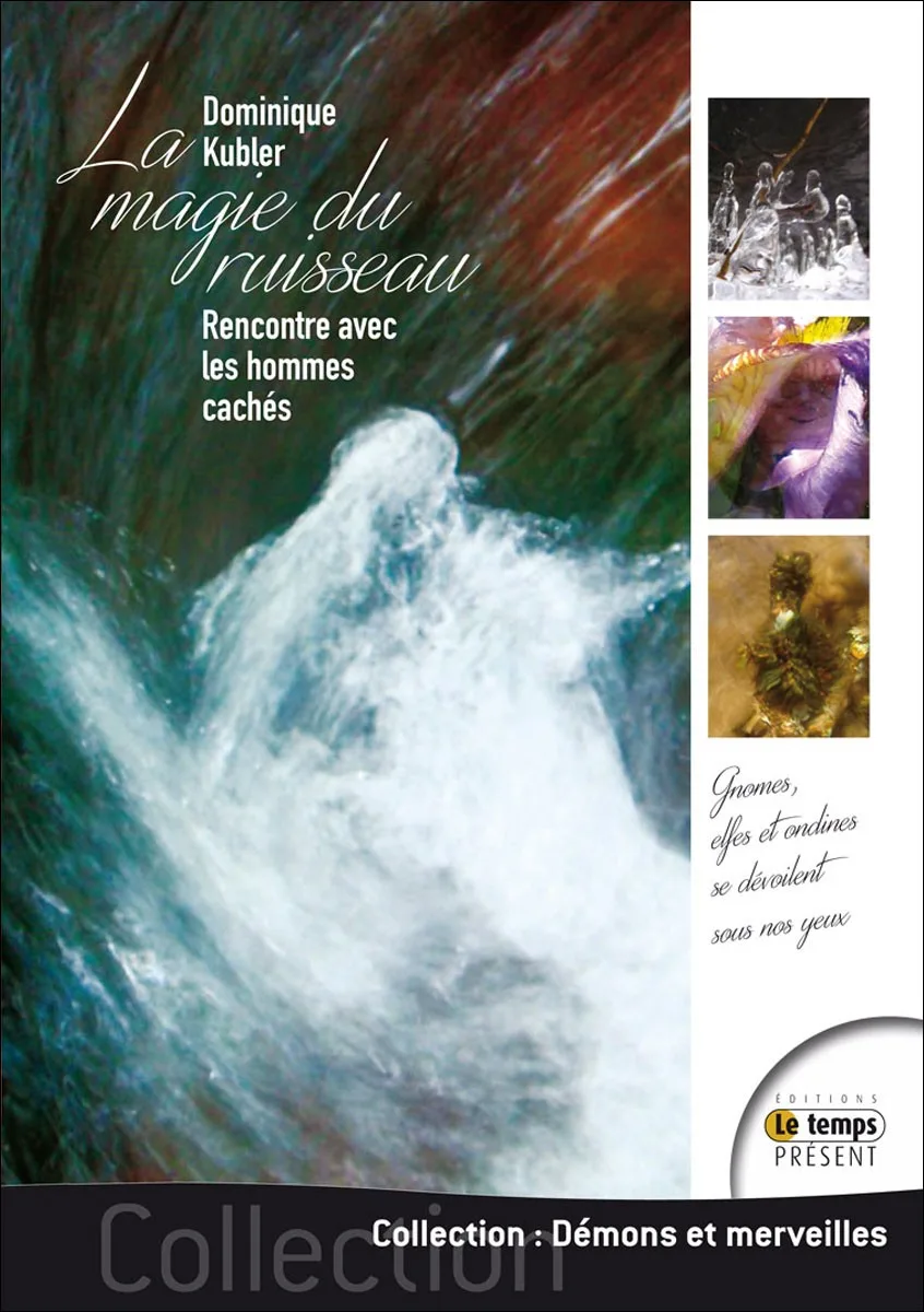 Couverture du livre « La magie du ruisseau Rencontre avec les hommes cachés », JMG Éditions