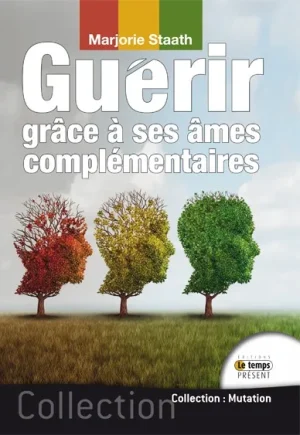 Couverture du livre « Guérir grâce à ses âmes complémentaires », JMG Éditions