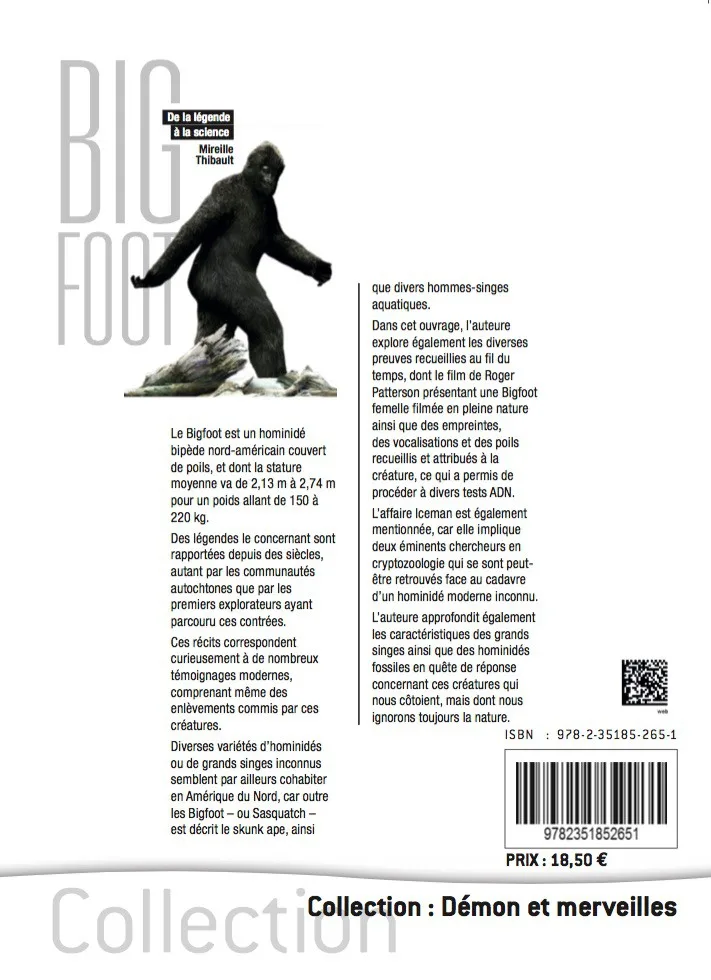 Illustration intérieure du livre « Bigfoot De la légende à la science », JMG Éditions