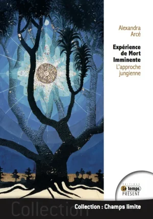 Couverture du livre « Expérience de Mort Imminente », JMG Éditions