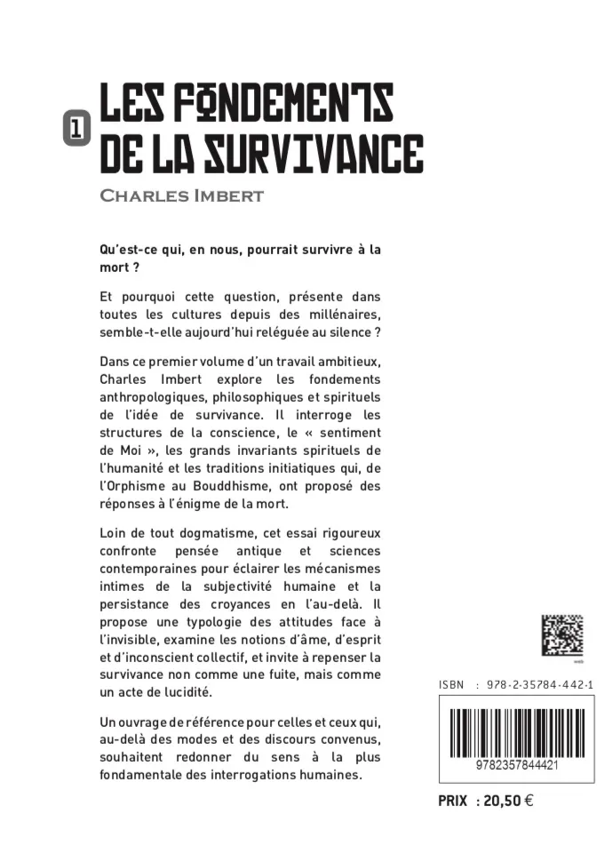 Illustration intérieure du livre « Les Fondements de la Survivance, Essai sur l’âme, la conscience et l’invisible, Tome 1 », JMG Éditions